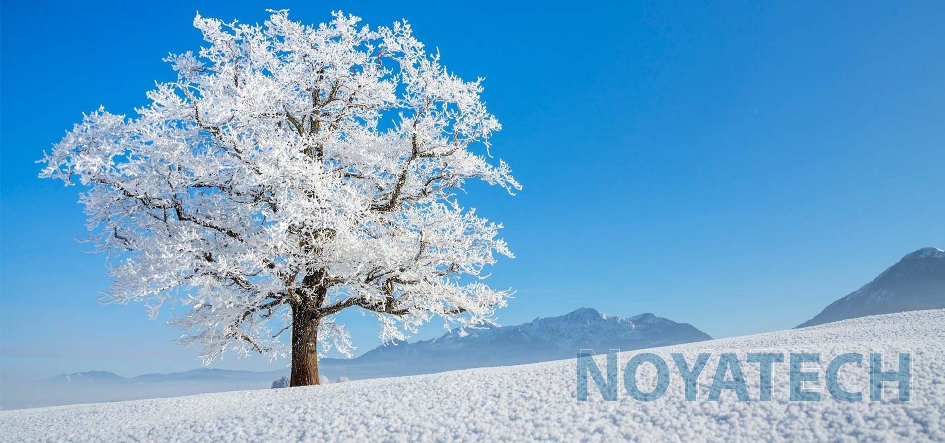 NOYA SOĞUTMA SANAYİ VE TİC. LTD. ŞTİ. fotoğraf 4